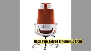 Ergonomic জাল চেয়ার কটিদেশীয় সমর্থন সমন্বয়